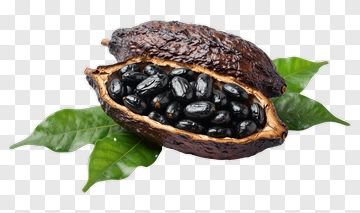Cocoa Pod With Black Beans And Leaves PNG