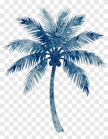 Watercolor Palm Tree PNG