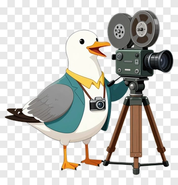 Cartoon Seagull With A Camera And Film Projector PNG