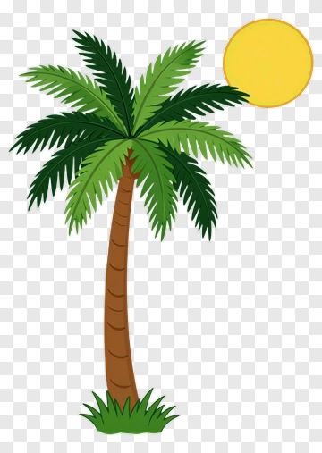 Cartoon Palm Tree With Sun PNG