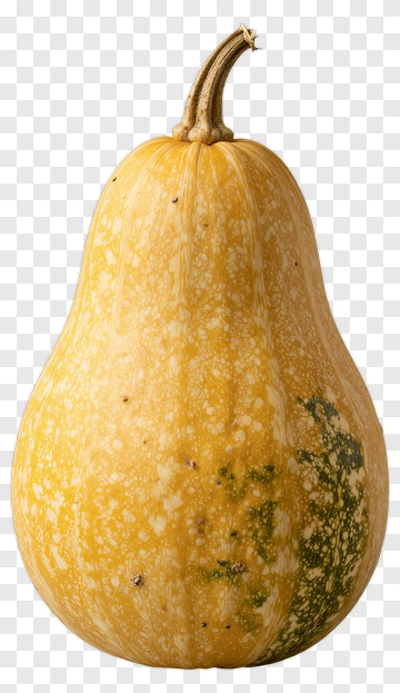 Decorative Yellow Squash PNG