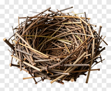 Natural Twigs Nest PNG