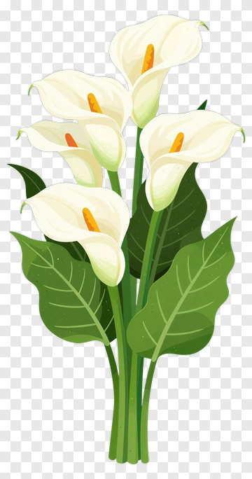Calla Lily Bouquet PNG