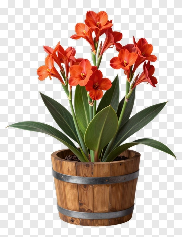 Colorful Flower Arrangement In Wooden Planter PNG