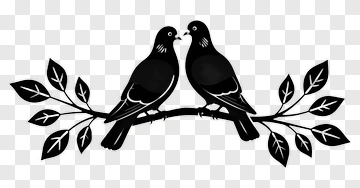 Two Black Birds On A Branch PNG