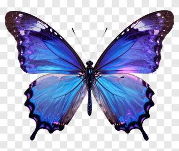 Colorful Butterfly With Blue And Purple Wings PNG
