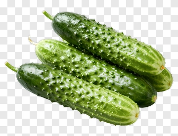 Fresh Cucumbers PNG