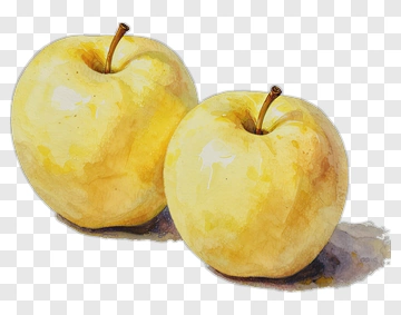 Watercolor Yellow Apples PNG