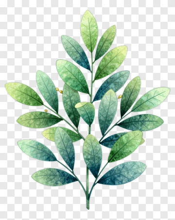 Watercolor Green Leaf Branch PNG