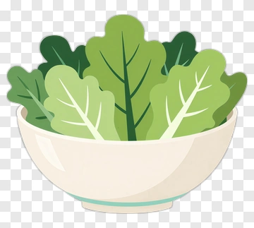 Bowl Of Fresh Green Lettuce PNG