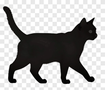 Black Cat Walking PNG