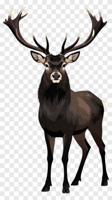 3D Deer With Antlers PNG