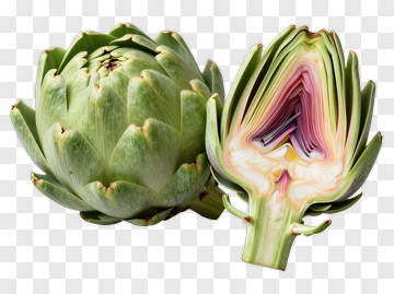 Artichoke Cut In Half PNG
