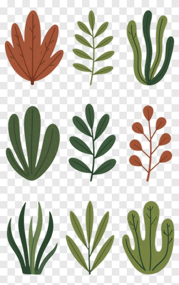 Colorful Leaf Collection PNG
