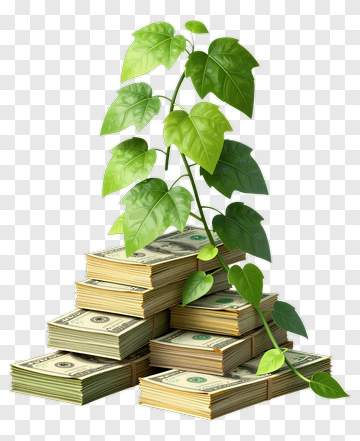 Money Stack With Growing Plant PNG
