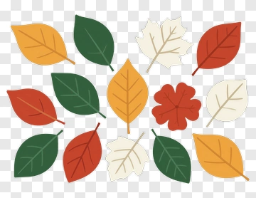 Colorful Autumn Leaves PNG