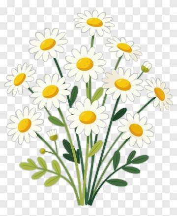 Colorful Flower Bouquet PNG