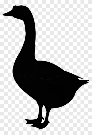 Silhouette Of A Goose PNG