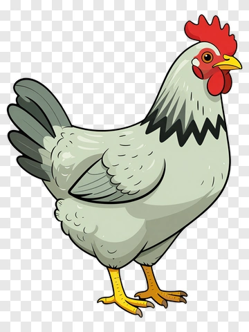 Cartoon Chicken PNG