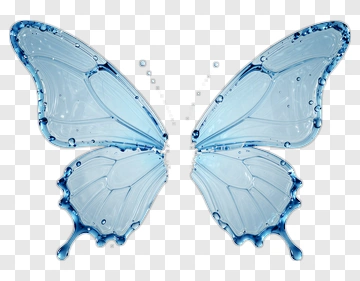 Blue Butterfly With Water Droplets PNG