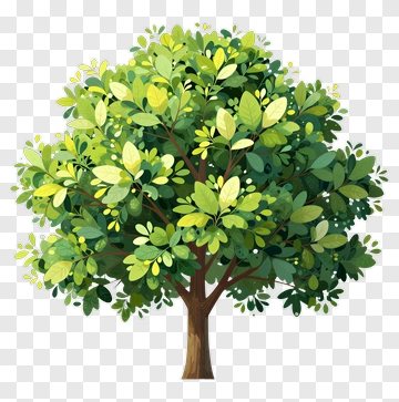 Colorful Tree With Green Leaves PNG