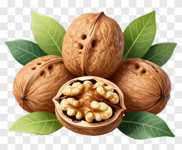 Walnuts With Green Leaves PNG