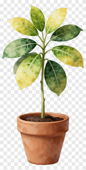 Felt Plant In A Pot PNG