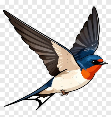 Cartoon Swallow Bird In Flight PNG