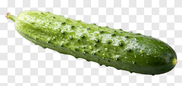 Fresh Green Cucumber PNG