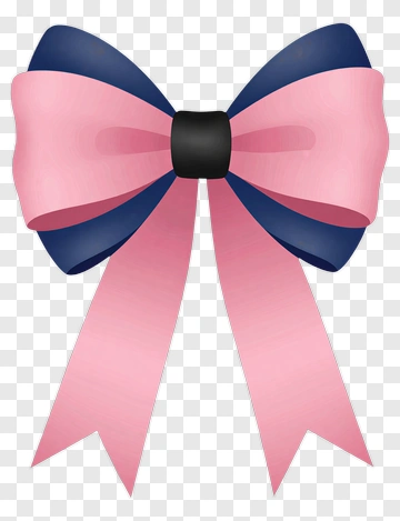 Pink And Blue Decorative Bow PNG