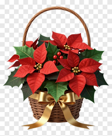 Christmas Poinsettia Basket PNG