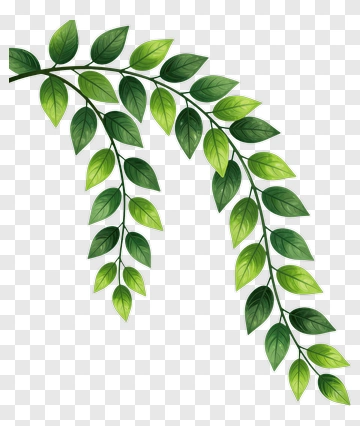 Green Leafy Branch PNG