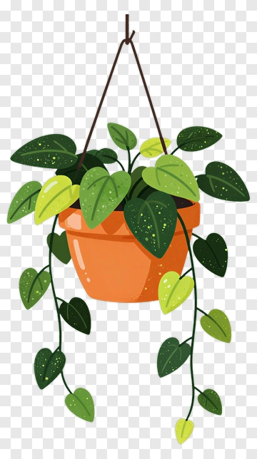 Hanging Plant In A Pot PNG