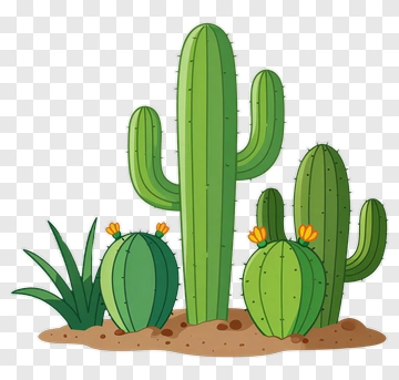 Colorful Cacti In A Desert Landscape PNG