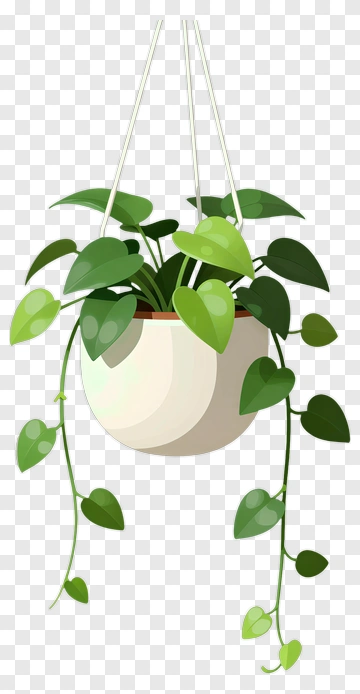 Hanging Potted Plant PNG