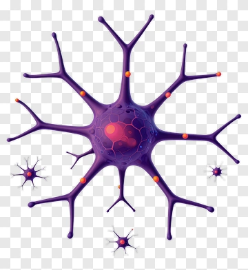 Purple Neuron With Dendrites And Synapses PNG