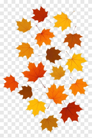 Colorful Autumn Leaves PNG