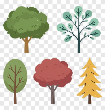 Colorful Tree Collection PNG