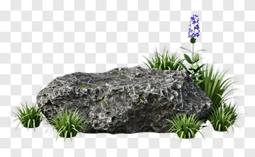 Rock Surrounded By Grass And Flower PNG