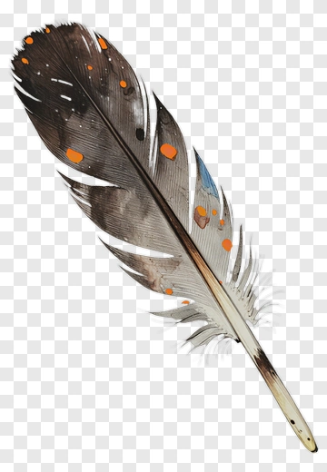 Colorful Feather PNG