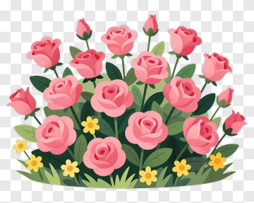 Colorful Flower Bouquet Of Pink Roses PNG