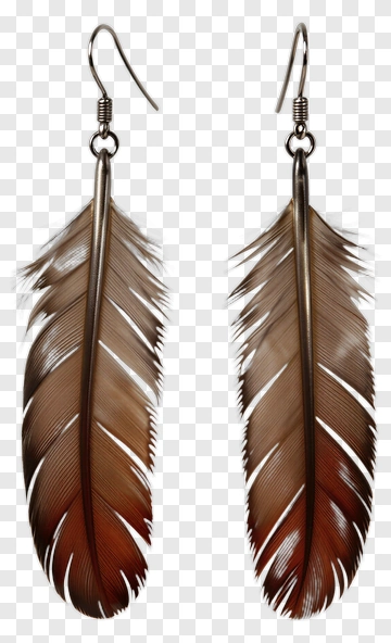 Feather Earrings PNG