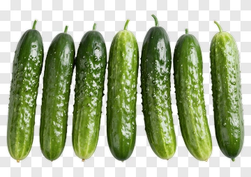 Fresh Cucumbers PNG