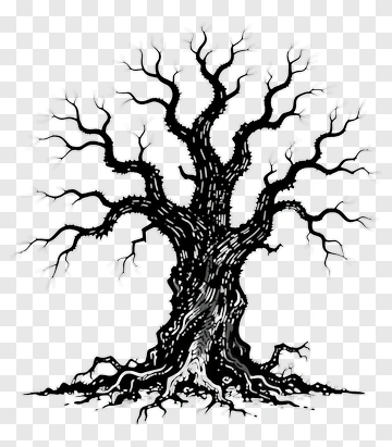 Black Tree With Twisted Branches PNG