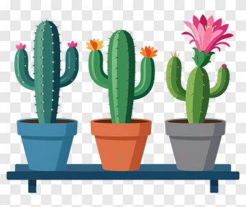 Colorful Cacti In Pots PNG