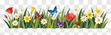 Colorful Flower Garden With Butterflies PNG