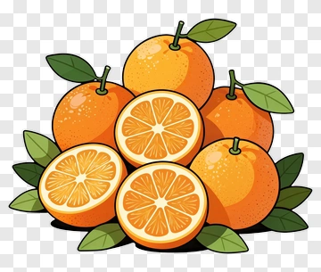 Colorful Orange Fruit Composition PNG