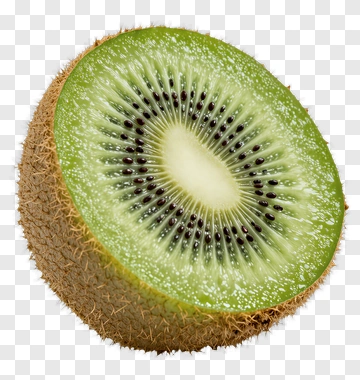 Fresh Kiwi Slice PNG