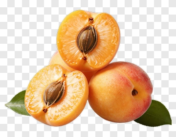 Fresh Apricots With Halves And Leaves PNG