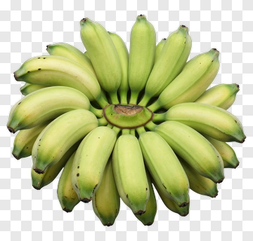 Bunch Of Green Bananas PNG
